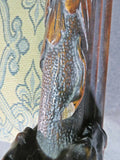 Throne Chair, Carved Figural, Lion Details, Renaissance Style, Vintage / Antique - Old Europe Antique Home Furnishings