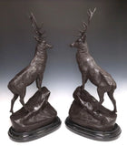 Two patinated Bronze stags after Jules Moigniez
