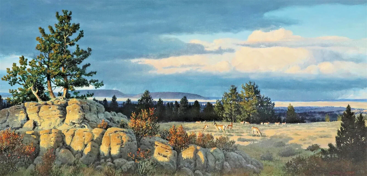 Oil Painting, Terry Swanton Bateman, (B.1942) 'Grazing Pronghorns', Vi ...