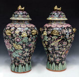 Temple Jars, Chinese Famille, Pair, Noir Porcelain, Stunning! - Old Europe Antique Home Furnishings