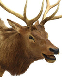 Taxidermy, Elk Mount, 12 Points, Beautiful Animal! and Home Decor!  Great for a Man Cave!! - Old Europe Antique Home Furnishings