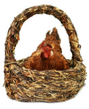 Unique and Decorative Brooding Hen Resting in Basket Taxidermy Mount, Colorful!! - Old Europe Antique Home Furnishings